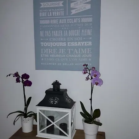 Bois Appartamento Lilla